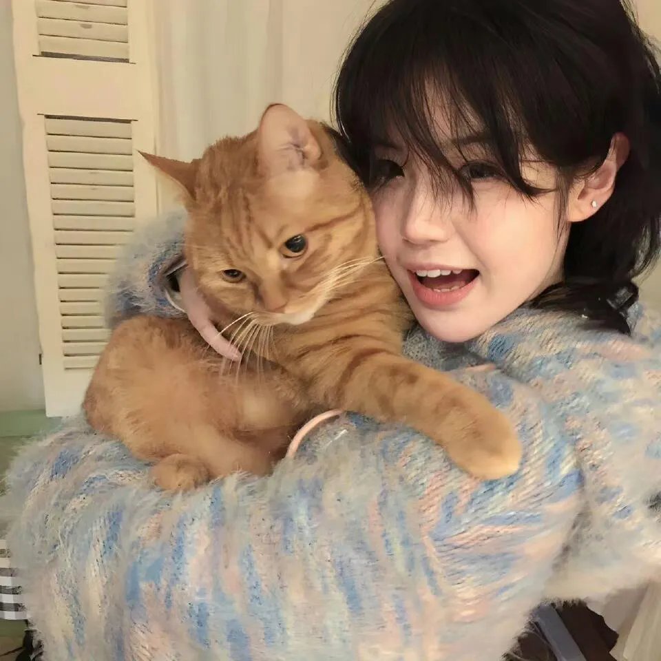 空中浩劫第十五季